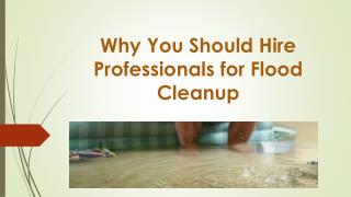 Why You Should Hire Professionals for Flood Cleanup