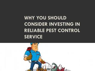 Why you should consider investing in reliable pest control Service