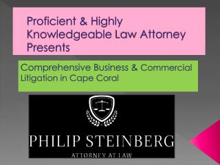 Comprehensive Business & Commercial Litigation in Cape Coral