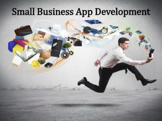 Small business app development