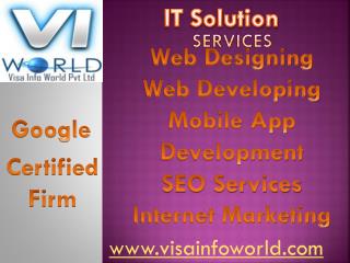Web development(9899756694) at lowest price india-visainfoworld.com