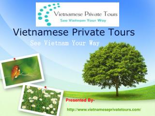 Vietnamese Private Tours