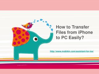 How to Transfer Files from iPhone to PC Easily