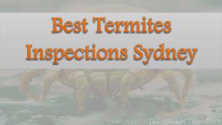 Best Termites Inspections Sydney