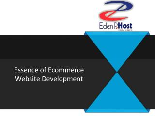 Essence of Ecommerce Website Development