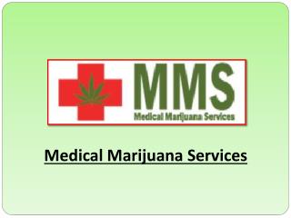 Treat Your Disease with Medical Marijuana Services