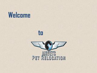 International Pet Transportation