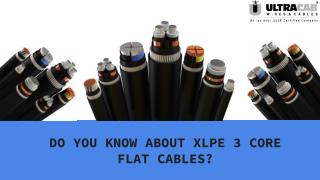 Do you know about XLPE 3 core flate power cables?