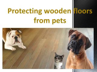 Protecting wooden floors from pets