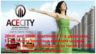 property in Noida Extension