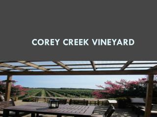 Corey Creek Vineyard