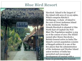 Blue Bird Resort