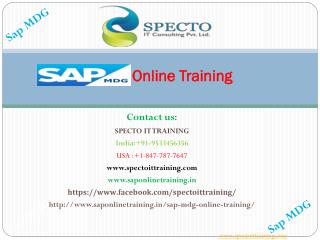 sap mdg online training in usa
