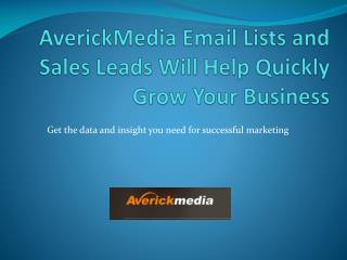 AverickMedia Email Lists and Sales Leads Will Help Quickly Grow Your Business