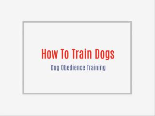 Free dog training video