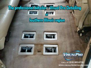 The professional detailer - Visual Pro Detailing