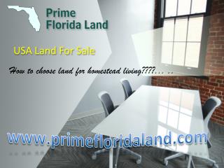 USA Land For Sale at Lowest Price !!!!!! Florida land