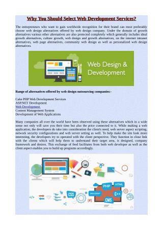Why You Should Select Web Development Services?