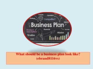 What should be a business plan look like? (ebrand8116vs)