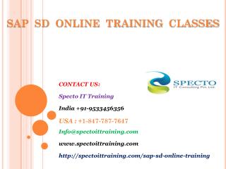 sap sd online training in usa,uk,australia,canada