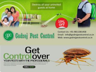 Get Flat 10% off on pest control Noida