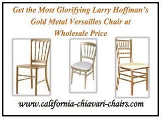 Get the Most Glorifying Larry Hoffman’s Gold Metal Versailles Chair at Wholesale Price