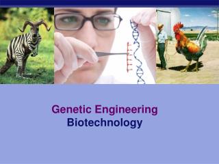 Genetic Engineering Biotechnology