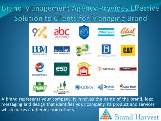 Brand Management Agency Provides Effective Solution to Clients for Managing Brand