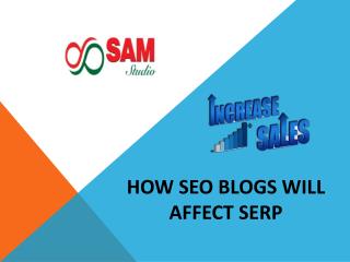 HOW SEO BLOG NETWORKS AFFECT SERP