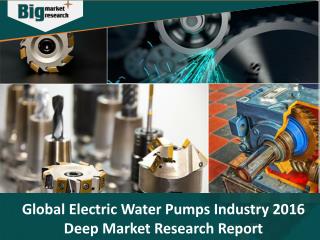 Global Electric Water Pumps Industry 2016 Deep Market Research Report - Big Market Research
