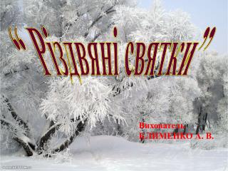 Різдвяні святки