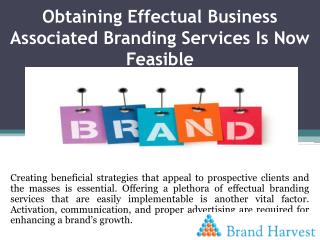 Obtaining Effectual Business Associated Branding Services Is Now Feasible