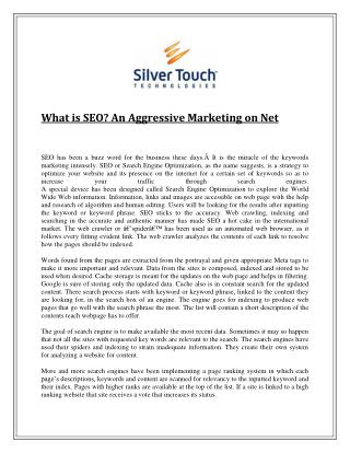 What is SEO? An Aggressive Marketing on Net