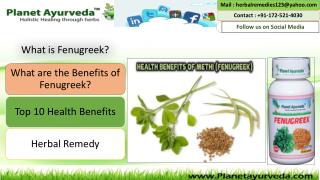 Top 10 Health Benefits of Methi - Fenugreek Seeds