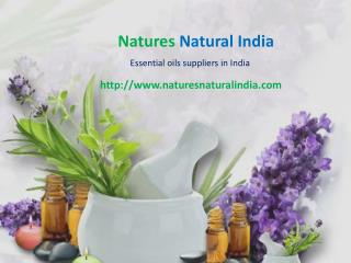 Buy Bulk Essential Oils at Naturesnaturalindia.com