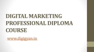 Digital Marketing Professional Diploma Course - Digigyan.in