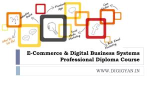 E-Commerce & Digital Business Systems Professional Diploma Course