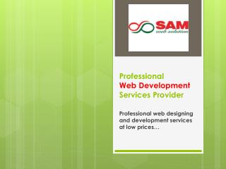 Dynamic website development solutions for your Business Promotion