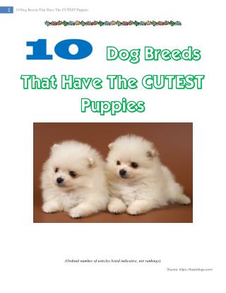 10 Dog Breeds That Have The CUTEST Puppies