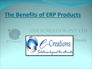 Affordable ERP Products