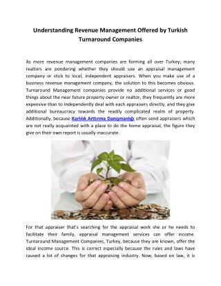 Understanding Revenue Management Offered by Turkish Turnaround Companies