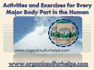 Activities and Exercises for Every Major Body Part in the Human