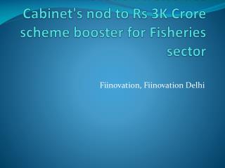 Fiinovation Welcomes Cabinet's nod to Rs 3K Crore Scheme Booster for Fisheries sector