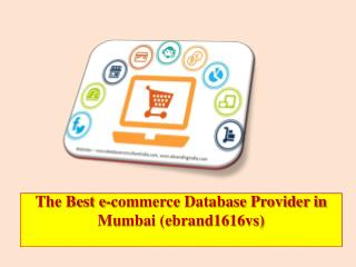 The Best e-commerce Database Provider in Mumbai (ebrand1616vs)