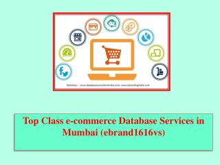 Top Class e-commerce Database Services in Mumbai (ebrand1616vs)