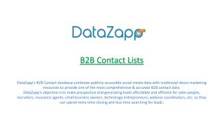 DataZapp for B2B Contact with Email Append and Phone Append