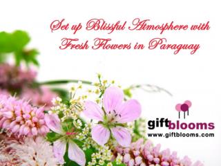 Set up Blissful Atmosphere with Fresh Flowers in Paraguay