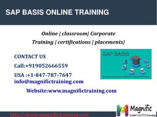 SAP BASIS ONLINE TRAINING IN DUBAI|MALAYSIA