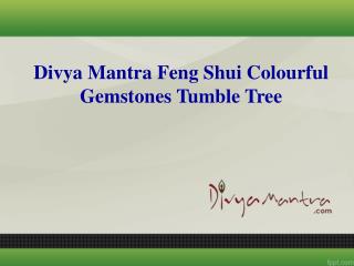 Divya Mantra Feng Shui Colourful Gemstones Tumble Tree