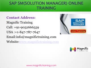 SAP SM ONLINE TRAINING IN USA|UK